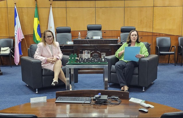 Combate à violência contra a mulher é tema de palestra promovida pela Comissão de Prevenção e Enfrentamento do Assédio, Discriminação e Violência do TRE-ES .