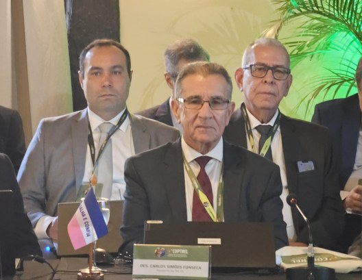 Representantes da Justiça Eleitoral do Espírito Santo participam do 88º Coptrel .