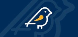 Banner com fundo azul, com a ilustração, ao centro, de um pardal, nas cores branca e amarela.